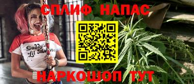 дживик Ставрополь